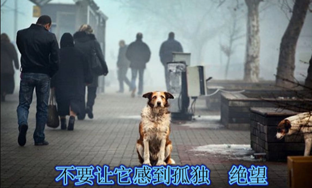 南平南平爱影圈微博微信转发案例